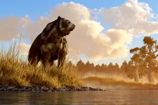 An illustration of Arctodus simus, an ancient bear about 12 feet tall