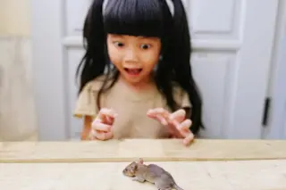 girl-afraid-of-mouse