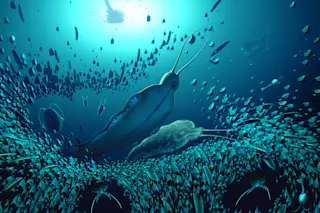A reconstruction of the pelagic ecosystem and the organisms fossilised in Sirius Passet, revealing how Timorebestia was one of the largest predators in the water column more than 518 million years ago