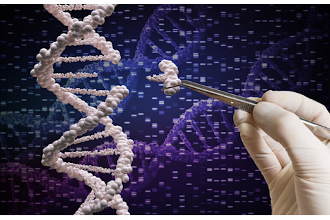 Genetic engineering and gene manipulation concept