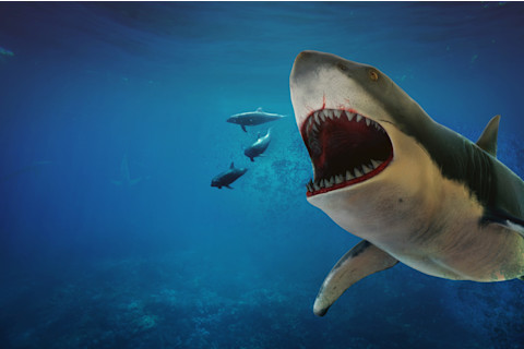 3D Illustration of megalodon shark hunting dolphins underwater