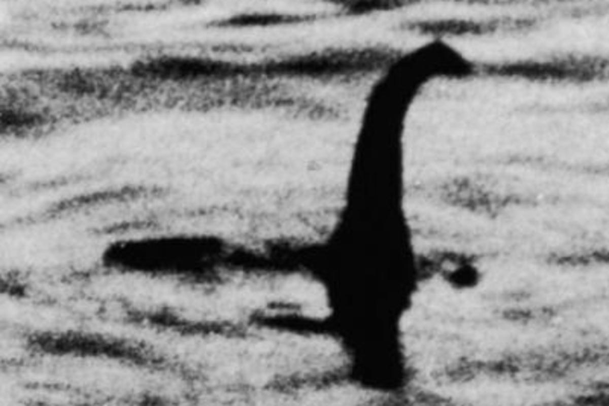 The Hunt for the Loch Ness Monster: Sightings and Theories You Need to Know  | Discover Magazine