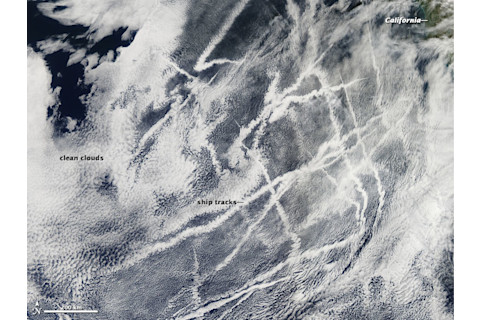 Aerosol Umbrella