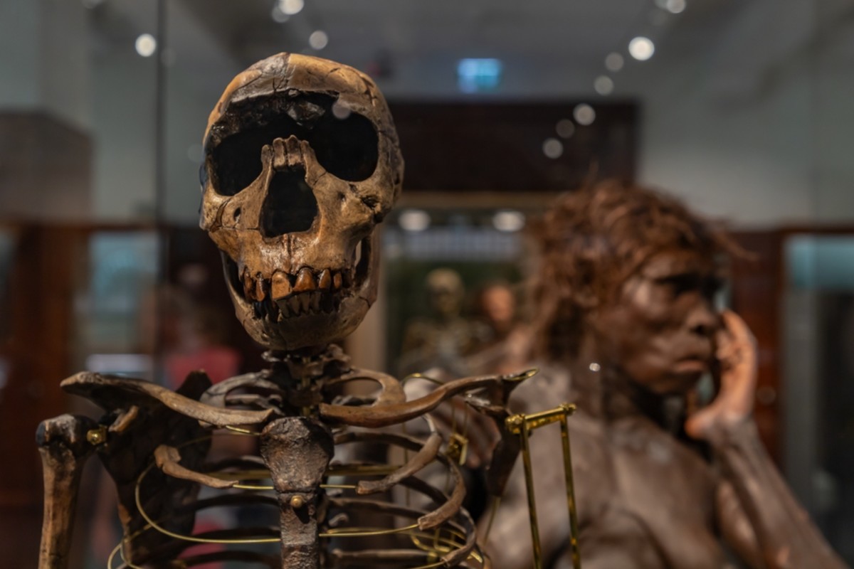 www.discovermagazine.com