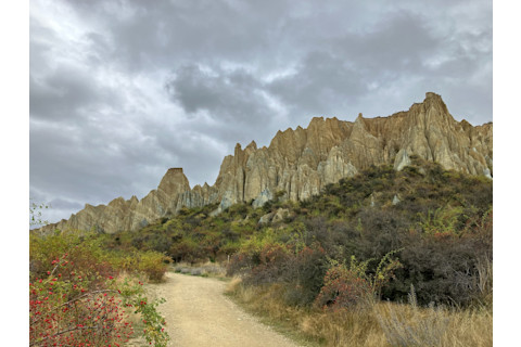 IMG 0757