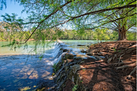 The banks of a river in Blanco State Park in Texas.