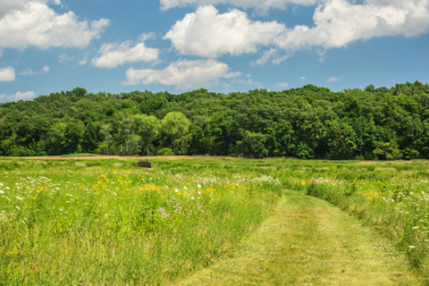The prairies and forests of northern Illinois.