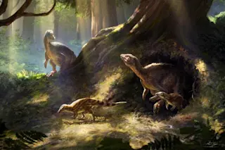 Low-Res Tneglectus