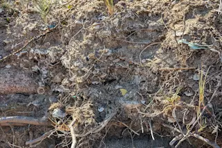 Evidence of human impact in sediment