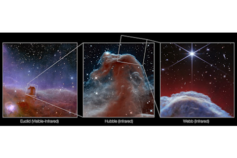 Horsehead Nebula Telescope Observations