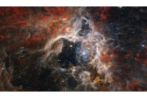 Tarantula Nebula