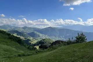 Tonya Valleys