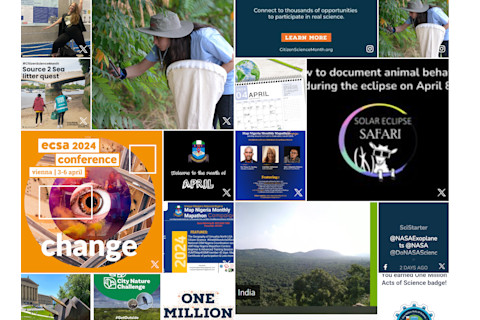 One Million Acts of Science Social Feed Collage
