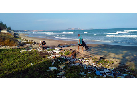 People Picking Up Litter on Beach