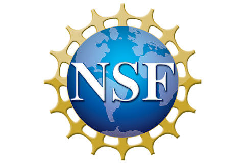 National Science Foundation Logo