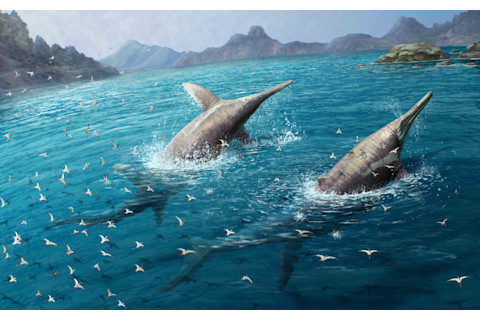A giant pair of swimming Ichthyotitan severnensis