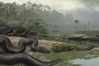 Illustration of Vasuki indicus near water