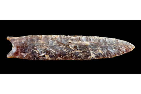 American Indian Clovis flint spearpoint seven inches long made around 11,000 BC.