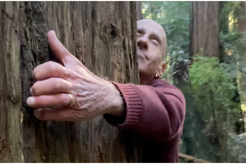 Bob Hugging Redwood Tree