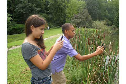 City Nature Challenge