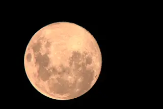 Pink Moon