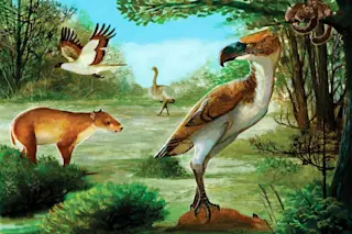 Antarctic terror bird hunting the Notoungulate otiolofos regueroi