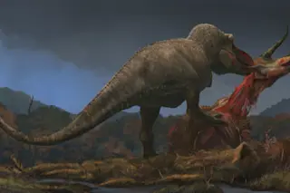 Tyrannosaurus eats Triceratops © Witton 2022 (2)