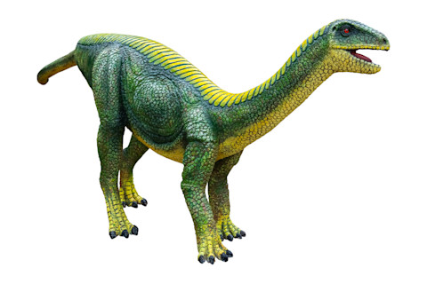 Mussaurus is a genus of herbivorous Sauropodomorph dinosaur that lived during the Late Triassic, Mussaurus isolated on white background with clipping path