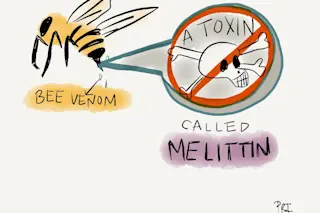 bee venom