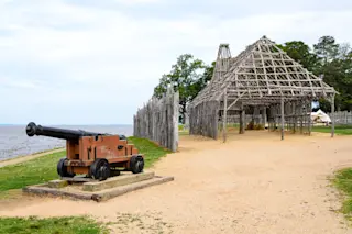 Jamestown Dogs