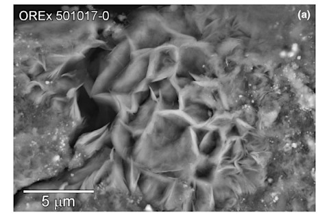 Bennu Phyllosilicate