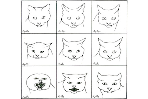 Leyhausen’s facial expressions of offensive and defensive mood (taken from Leyhausen 1979) coded using CatFACS.