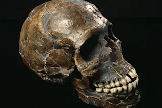 Skull from Qafzeh Cave in Israel
