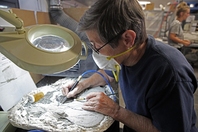 Deb Shanahan - Jake Bacon