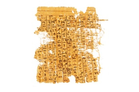 DSC-E0818 11