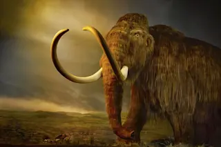 mammoth