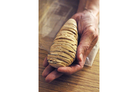 mammoth tooth - Jessica Marshall