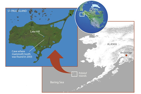 st. paul island - Smith/USGS