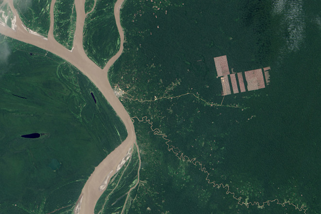 Deforestation-Peru.jpg