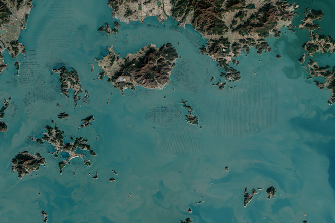 Seaweed-Farms.jpg