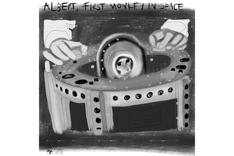 Albert-First-Monkey-in-Space-1024x1024