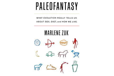 Book Cover - Paleofantasy