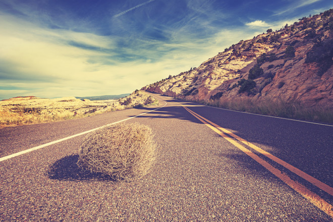 Tumbleweed - Shutterstock