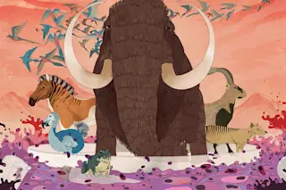 Extinct Species - Marcos Chin