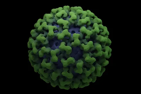 Chikungunya virus