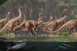 Heard of Plateosaurus dinosaurs 