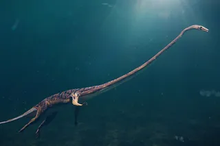tanystropheus swimming