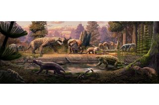 Prehistoric creatures from the Permian Period around a water hole