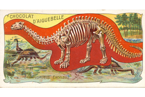 brontosaurus illustration