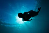 Silhouette of a mermaid under the sea